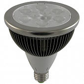 Лампа светодиодная Led Par