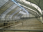 Коровник для холодного содержания КРС