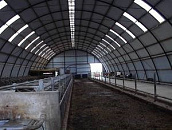 Свинарник для холодного содержания на глубокой подстилке